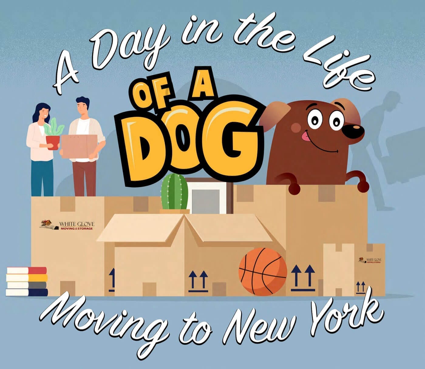 Moving to New York With a Dog