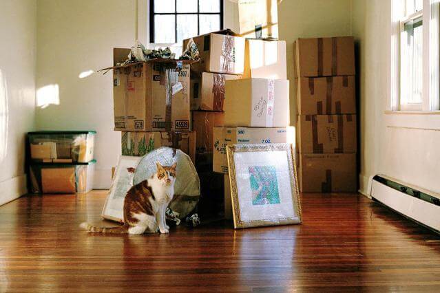 Move into New Home with Professional Movers